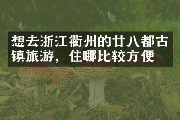 想去浙江衢州的廿八都古镇旅游，住哪比较方便