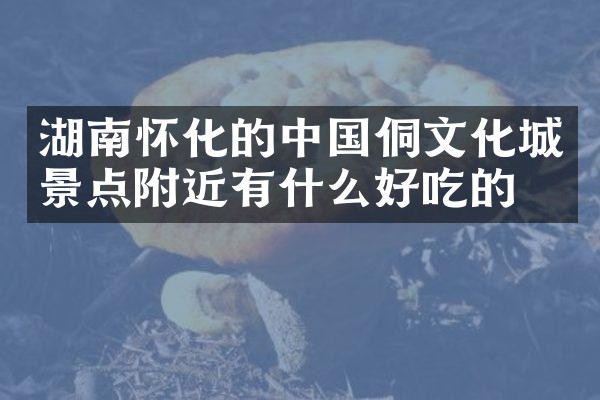 湖南怀化的中国侗文化城景点附近有什么好吃的