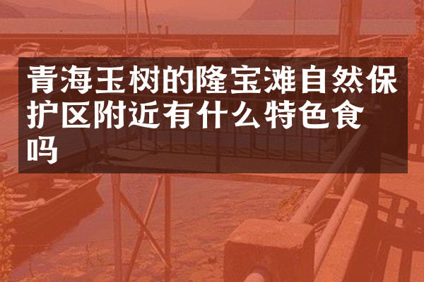 青海玉树的隆宝滩自然保护区附近有什么特色食物吗