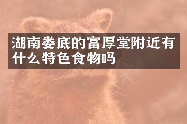 湖南娄底的富厚堂附近有什么特色食物吗