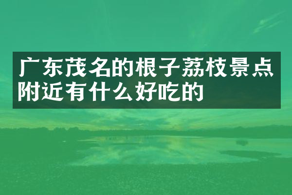 广东茂名的根子荔枝景点附近有什么好吃的