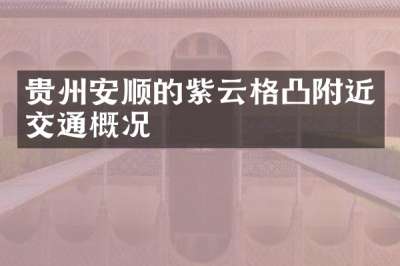 贵州安顺的紫云格凸附近交通概况