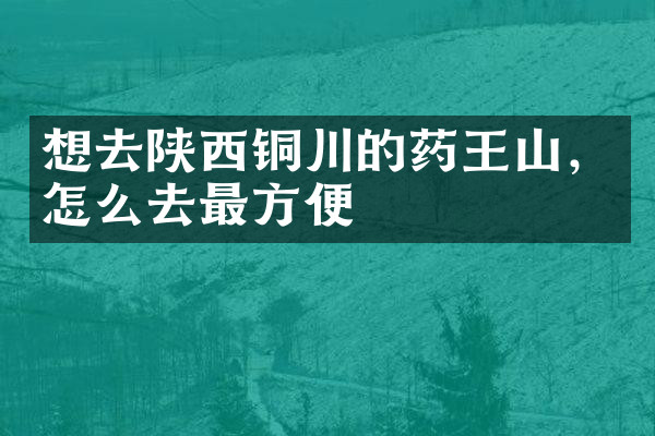 想去陕西铜川的药王山，怎么去最方便