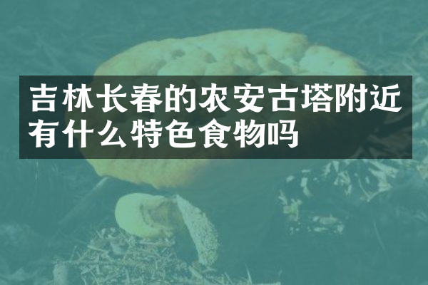 吉林长春的农安古塔附近有什么特色食物吗