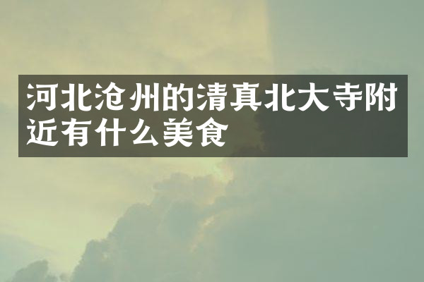 河北沧州的清真北大寺附近有什么美食