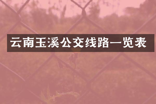 云南玉溪公交线路一览表