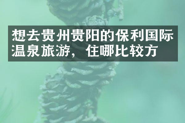 想去贵州贵阳的保利国际温泉旅游，住哪比较方便