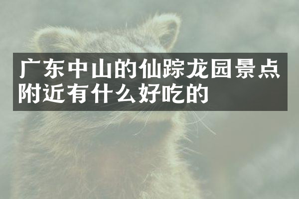 广东中山的仙踪龙园景点附近有什么好吃的
