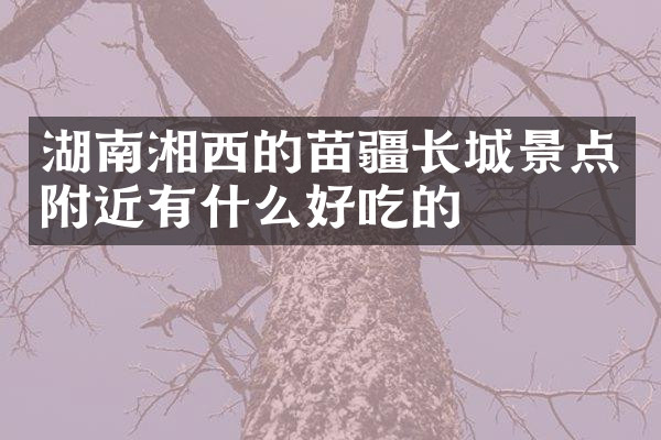 湖南湘西的苗疆长城景点附近有什么好吃的
