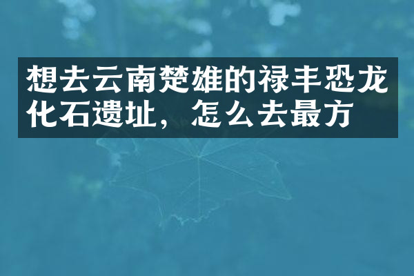 想去云南楚雄的禄丰恐龙化石遗址，怎么去最方便