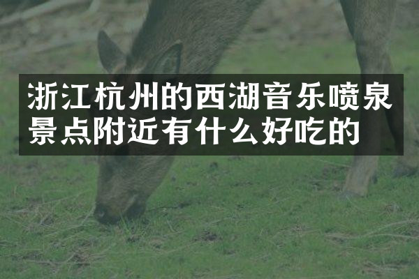 浙江杭州的西湖音乐喷泉景点附近有什么好吃的