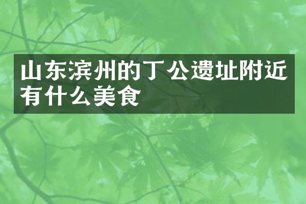 山东滨州的丁公遗址附近有什么美食