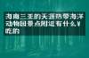 海南三亚的天涯热带海洋动物园景点附近有什么好吃的