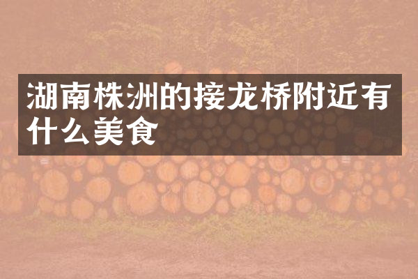 湖南株洲的接龙桥附近有什么美食