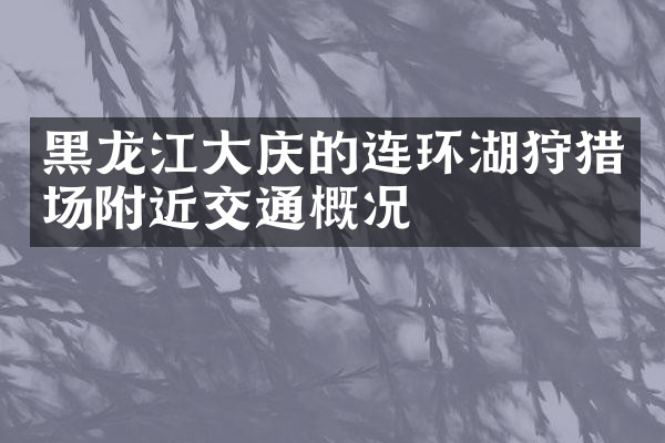 黑龙江大庆的连环湖狩猎场附近交通概况