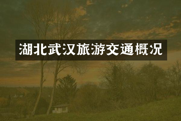 湖北武汉旅游交通概况