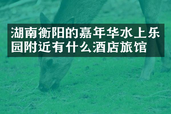 湖南衡阳的嘉年华水上乐园附近有什么酒店旅馆吗
