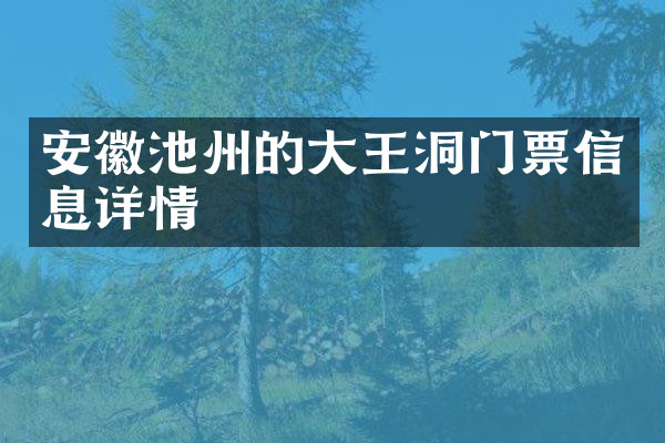 安徽池州的大王洞门票信息详情