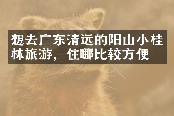 想去广东清远的阳山小桂林旅游，住哪比较方便