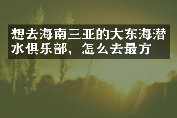 想去海南三亚的大东海潜水俱乐部，怎么去最方便
