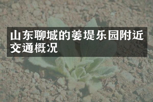 山东聊城的姜堤乐园附近交通概况