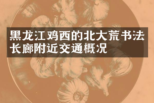黑龙江鸡西的北大荒书法长廊附近交通概况