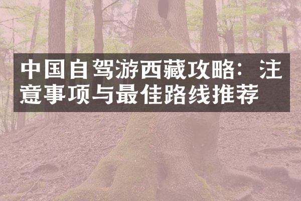 中国自驾游西藏攻略：注意事项与最佳路线推荐