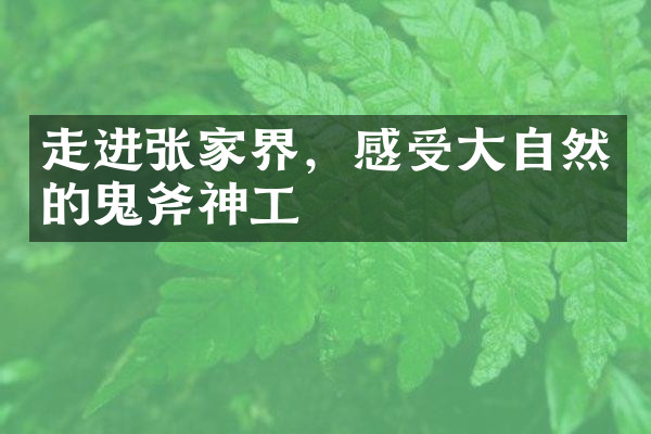 走进张家界，感受大自然的鬼斧神工