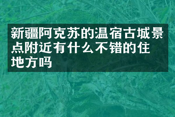 新疆阿克苏的温宿古城景点附近有什么不错的住的地方吗