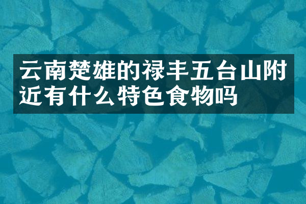 云南楚雄的禄丰五台山附近有什么特色食物吗