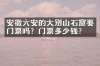 安徽六安的大别山石窟要门票吗？门票多少钱？