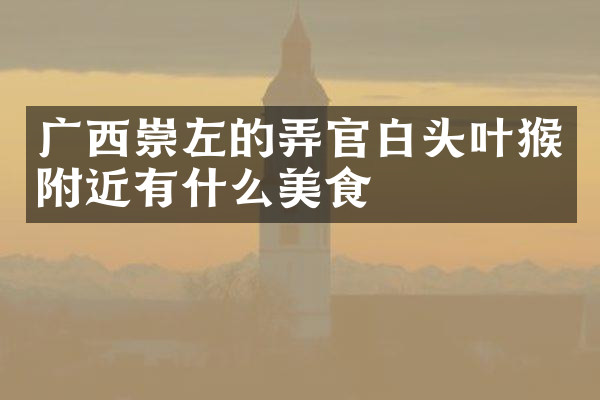 广西崇左的弄官白头叶猴附近有什么美食