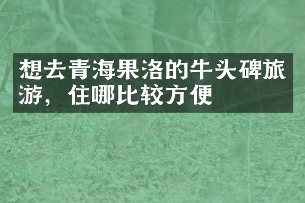 想去青海果洛的牛头碑旅游，住哪比较方便
