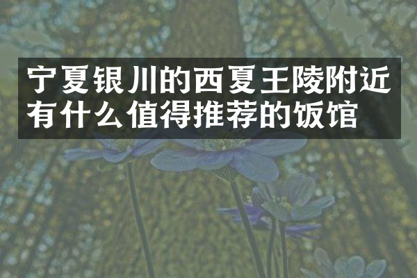 宁夏银川的西夏王陵附近有什么值得推荐的饭馆吗
