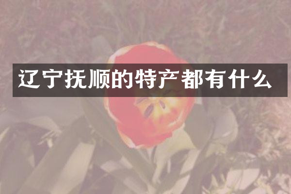 辽宁抚顺的特产都有什么