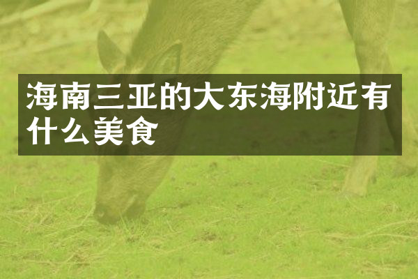 海南三亚的大东海附近有什么美食