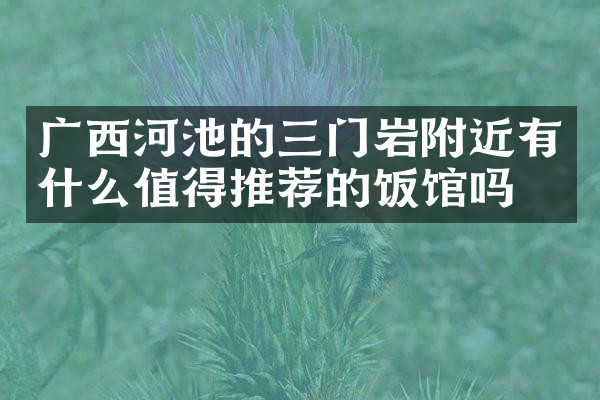 广西河池的三门岩附近有什么值得推荐的饭馆吗