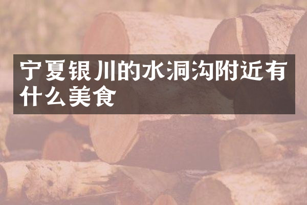 宁夏银川的水洞沟附近有什么美食
