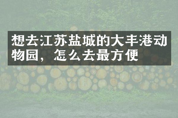 想去江苏盐城的大丰港动物园，怎么去最方便
