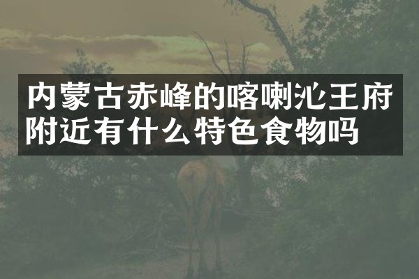 内蒙古赤峰的喀喇沁王府附近有什么特色食物吗