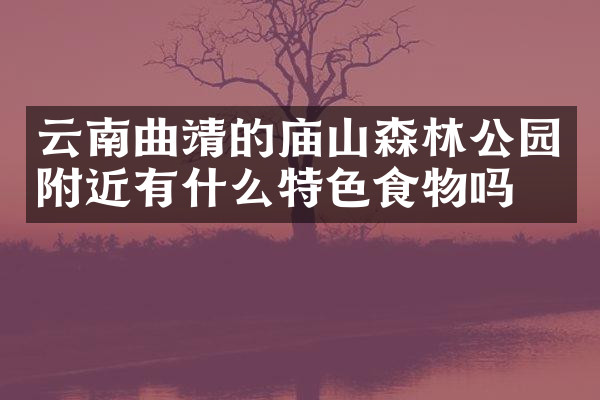 云南曲靖的庙山森林公园附近有什么特色食物吗