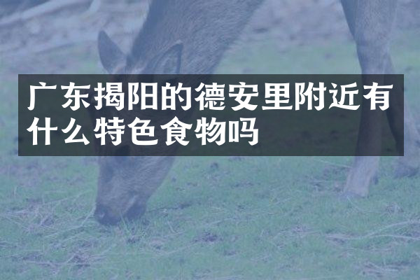 广东揭阳的德安里附近有什么特色食物吗