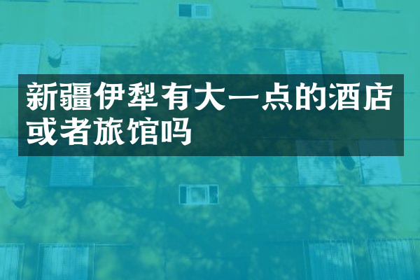 新疆伊犁有大一点的酒店或者旅馆吗