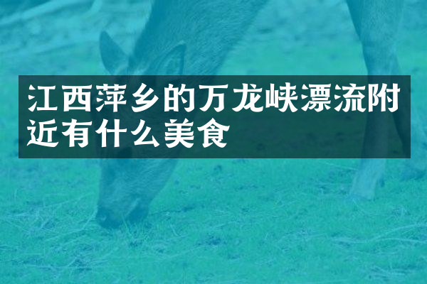 江西萍乡的万龙峡漂流附近有什么美食