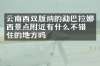 云南西双版纳的勐巴拉娜西景点附近有什么不错的住的地方吗