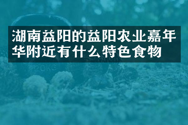 湖南益阳的益阳农业嘉年华附近有什么特色食物吗