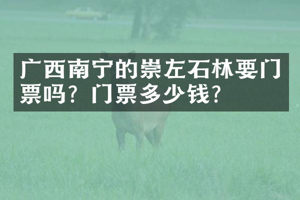 广西南宁的崇左石林要门票吗？门票多少钱？
