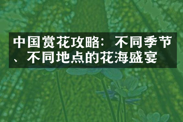 中国赏花攻略：不同季节、不同地点的花海盛宴