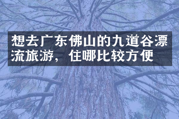 想去广东佛山的九道谷漂流旅游，住哪比较方便