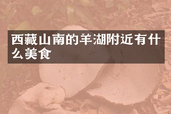 西藏山南的羊湖附近有什么美食